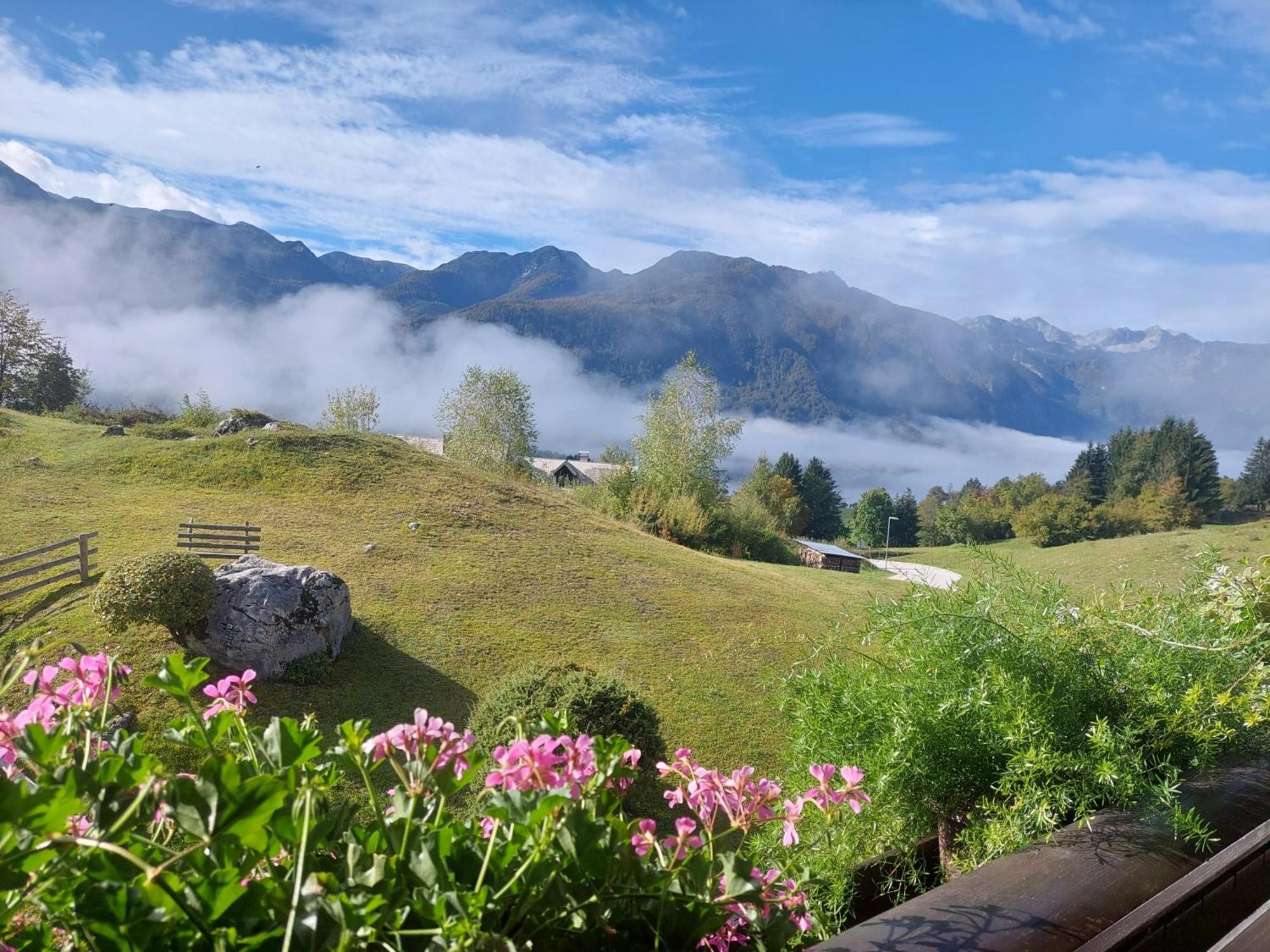 Apartmaji Vesna Bohinj Exterior foto